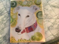 /album/galerie-photos/photo-1477-jpg/